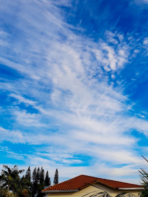 TMS Therapy session in progress