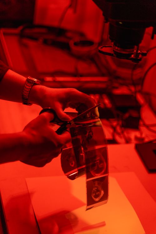 Free Hands cutting film negatives under red light in a darkroom setup. Stock Photo