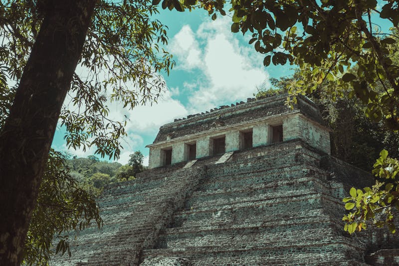 Ruines anciennes mayas entourées par une jungle dense au Mexique