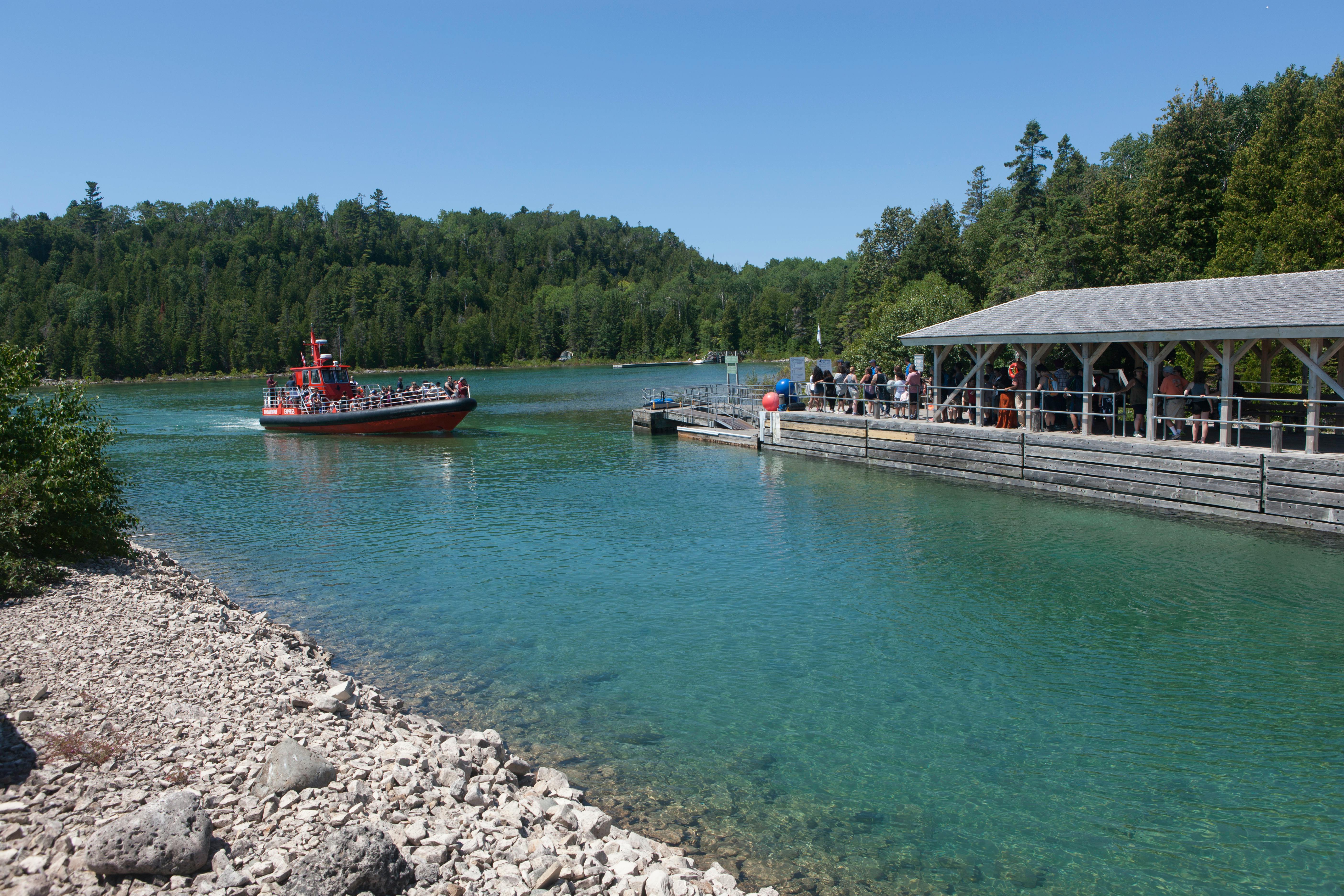 キングペンギン, サウスジョージア島, フォルトゥーナベイの無料の写真素材