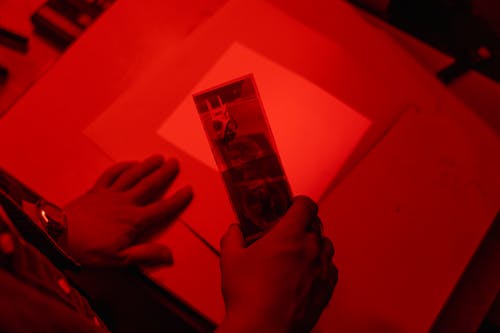 Free Hand Holding Red a Photo Film Strip  Stock Photo