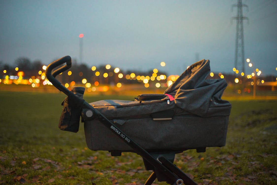 Baby's Bassinet on Green Grass