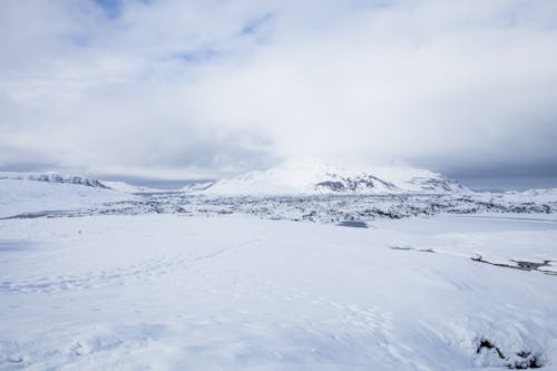 A Snow-Covered Field