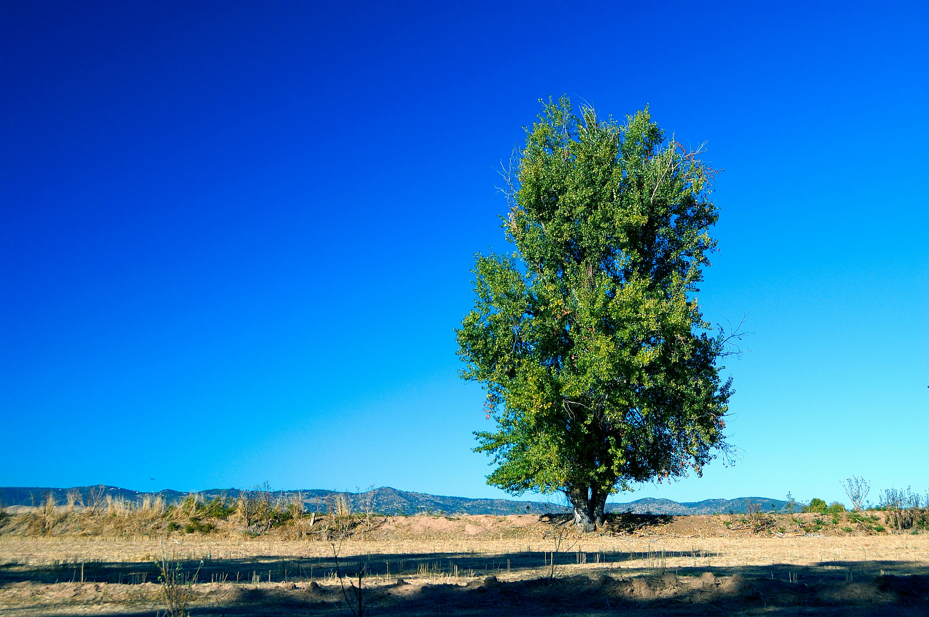 Zadarmo Fotobanka s bezplatnými fotkami na tému krajina, obloha, príroda Fotka z fotobanky