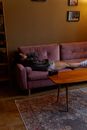 Person in Black Shirt Lying on Brown Couch