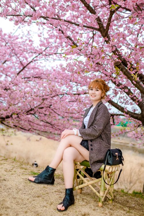 A Woman Sitting under the Cherry Blossom Tree · Free Stock Photo