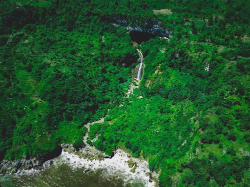 Aerial View of Covered in Green Trees Hills and a Waterfall 