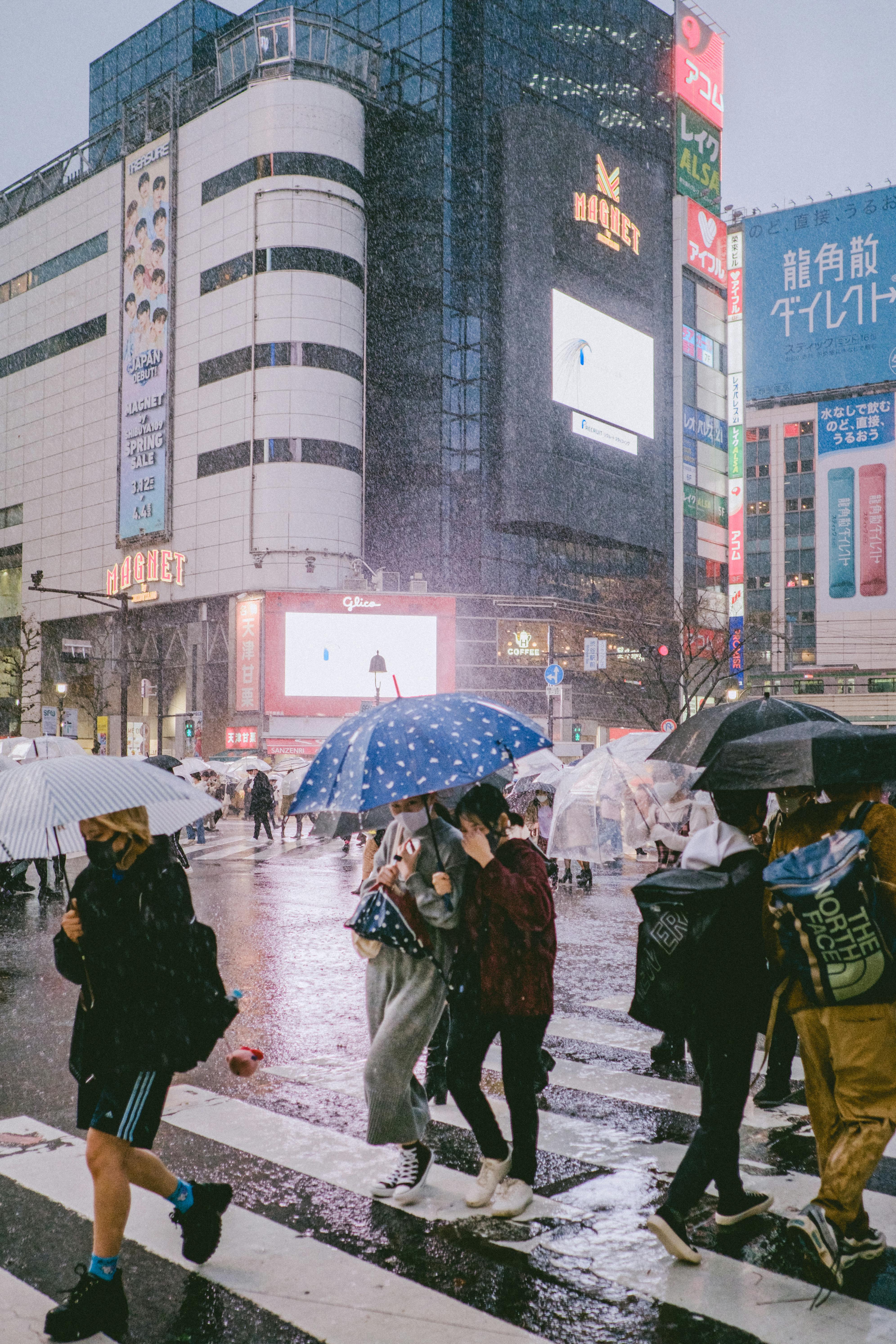 Full body of anonymous people in casual clothes and masks with umbrellas crossing road near modern buildings on rainy day in Tokyo