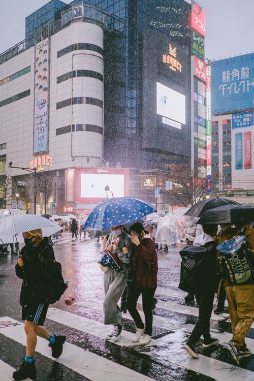 Busy Shibuya Crossing on a Rainy Day · Free Stock Photo
