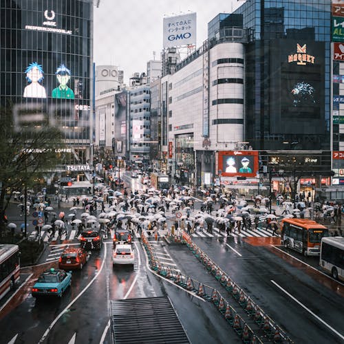 People and Cars at the Intersection