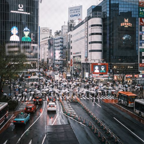 Free Crowded Shibuya Crossing with umbrellas and traffic under city lights on a rainy day in Tokyo. Stock Photo