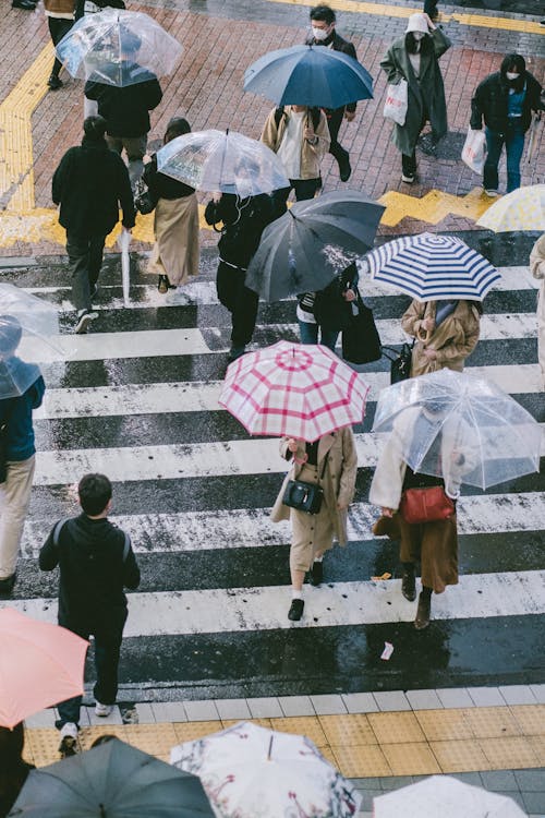 Immagine gratuita di attraversamento, camminando, corsia pedonale