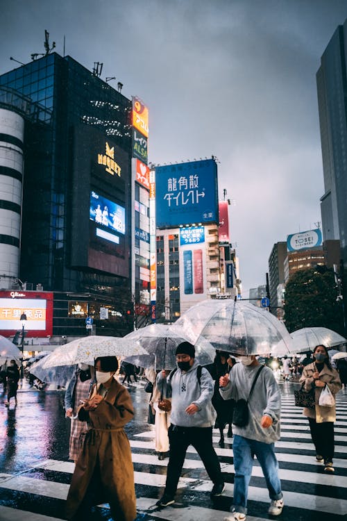People Holding Umbrellas while Crossing a Pedestrian Lane