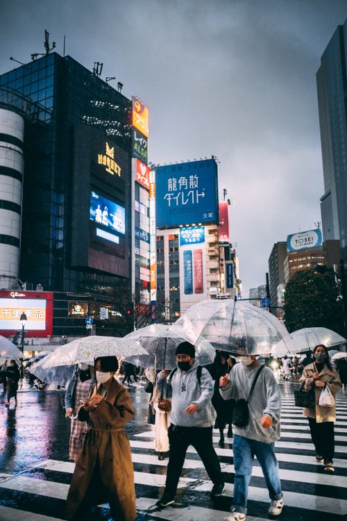 Free People with umbrellas crossing a street in Tokyo on a rainy day, surrounded by city lights. Stock Photo