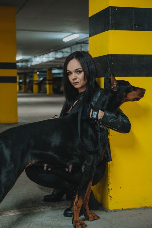 Free Full body of female owner with black purebred Doberman dog hunkering down near yellow column and looking at camera on parking lot Stock Photo