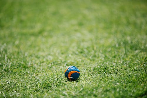 Blue and yellow ball on green grass