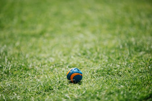 A vibrant blue and orange dog ball resting on a lush green lawn, perfect for playful summer activities.