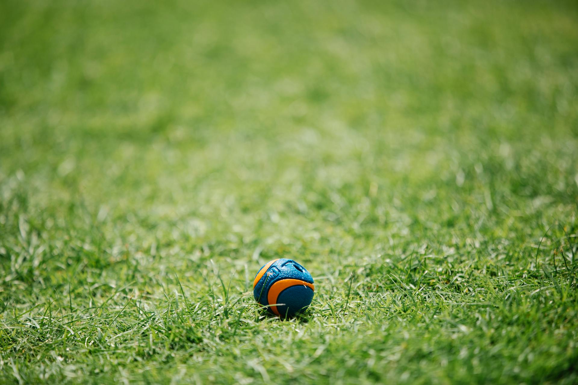 Blue and yellow ball on green grass