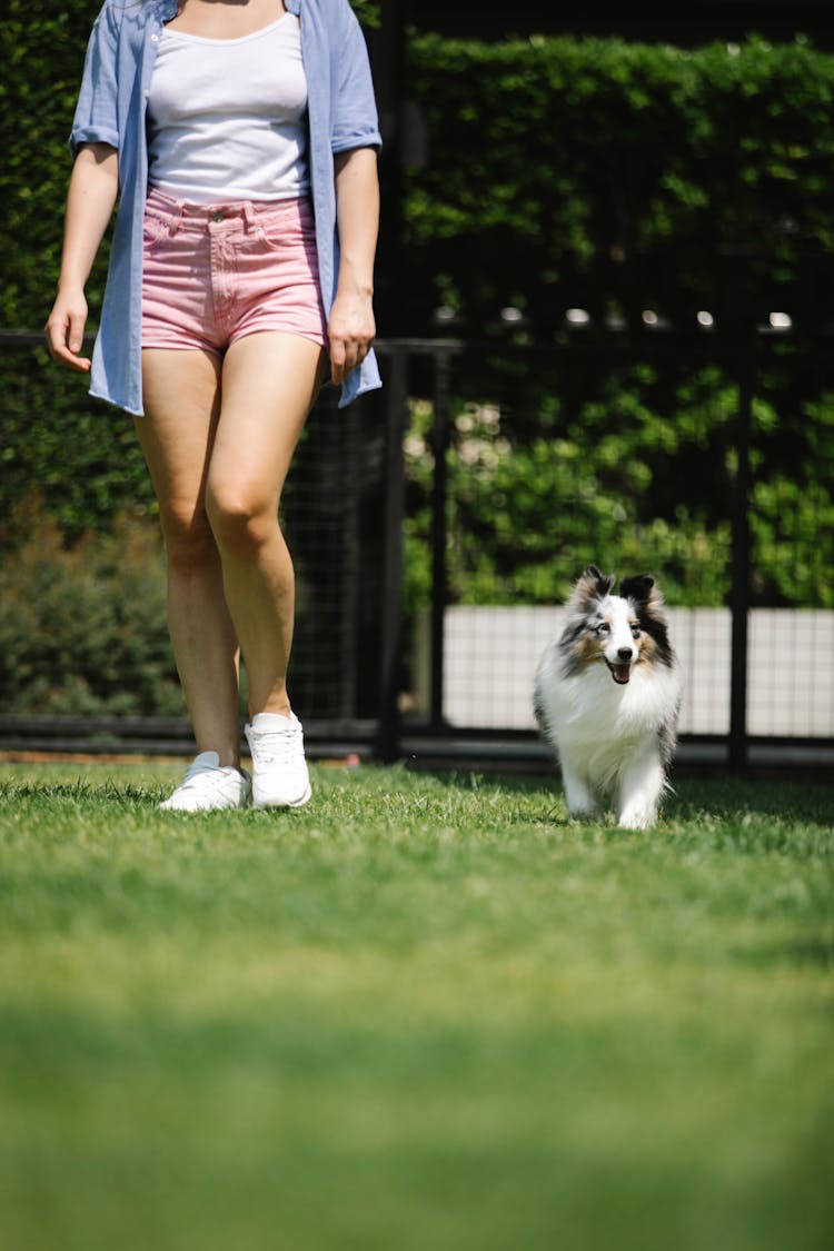 Woman Walking With Dog In Green Park