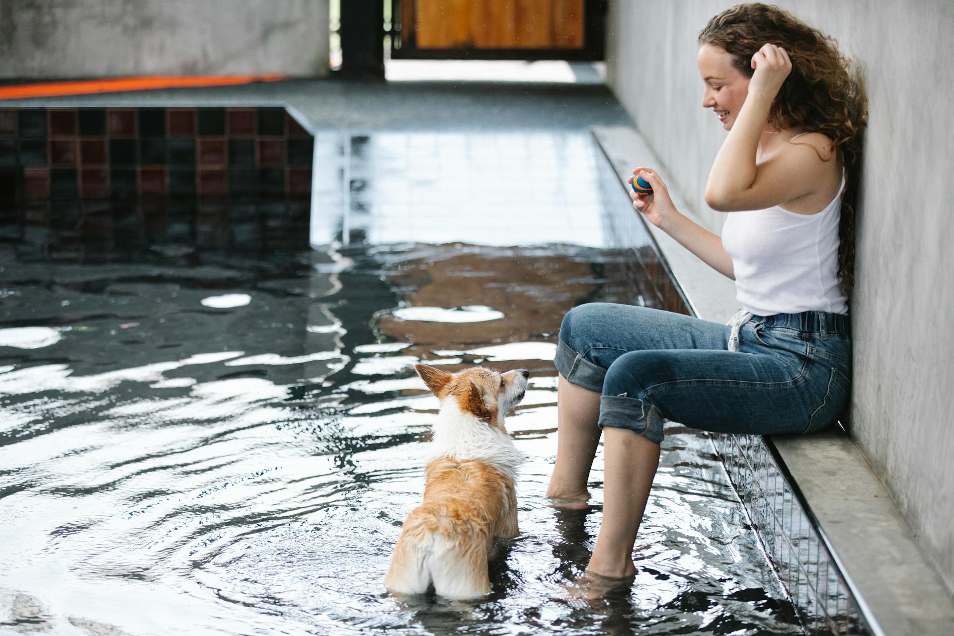 Smiling woman playing with Welsh Corgi Pembroke in pool