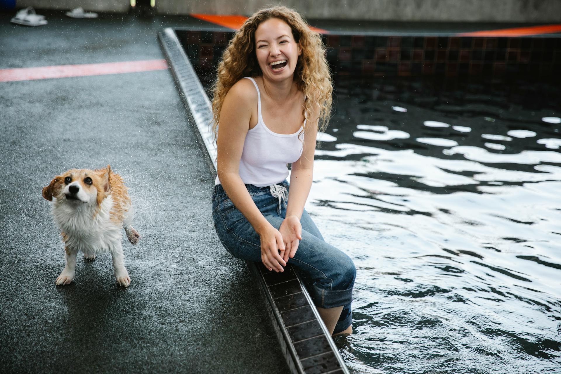 Positive female with curly hair in swimming pool laughing against wet dog on walkway in daytime