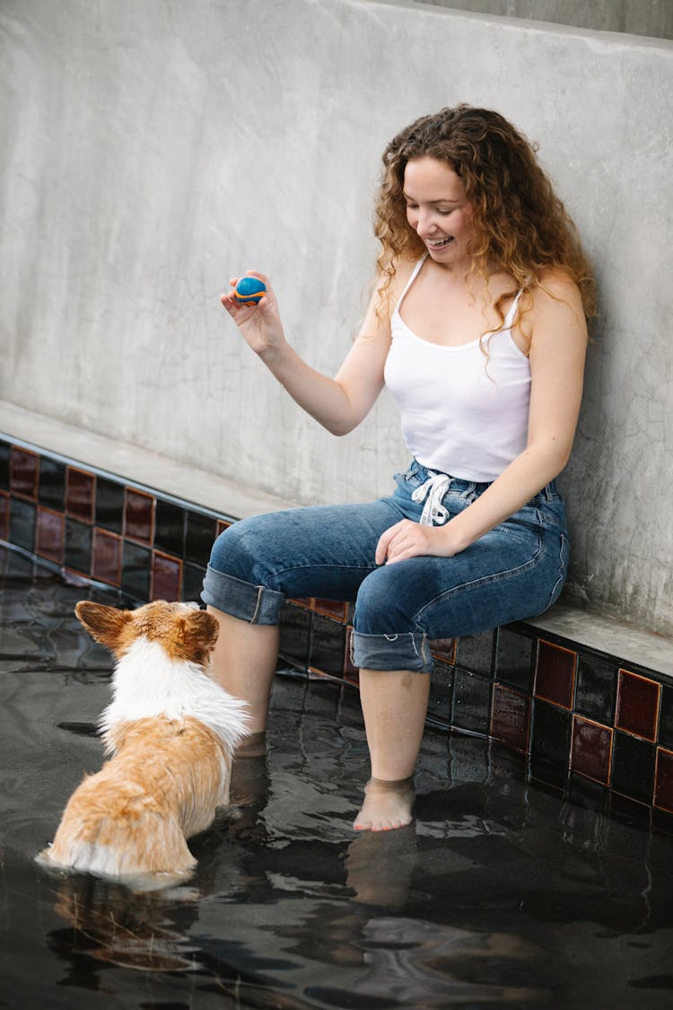 Cheerful Woman With Ball Taming Purebred Dog In Pool