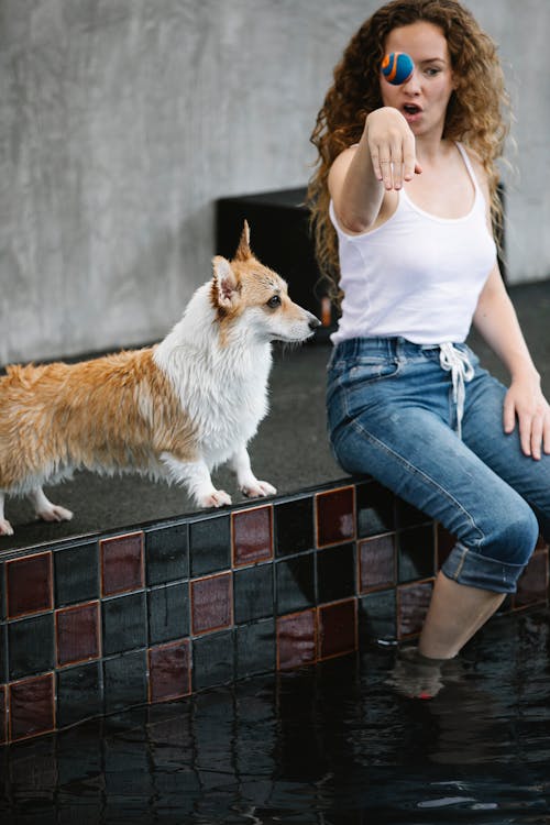 Adult female teaching purebred dog on poolside while throwing small ball over water on gray background