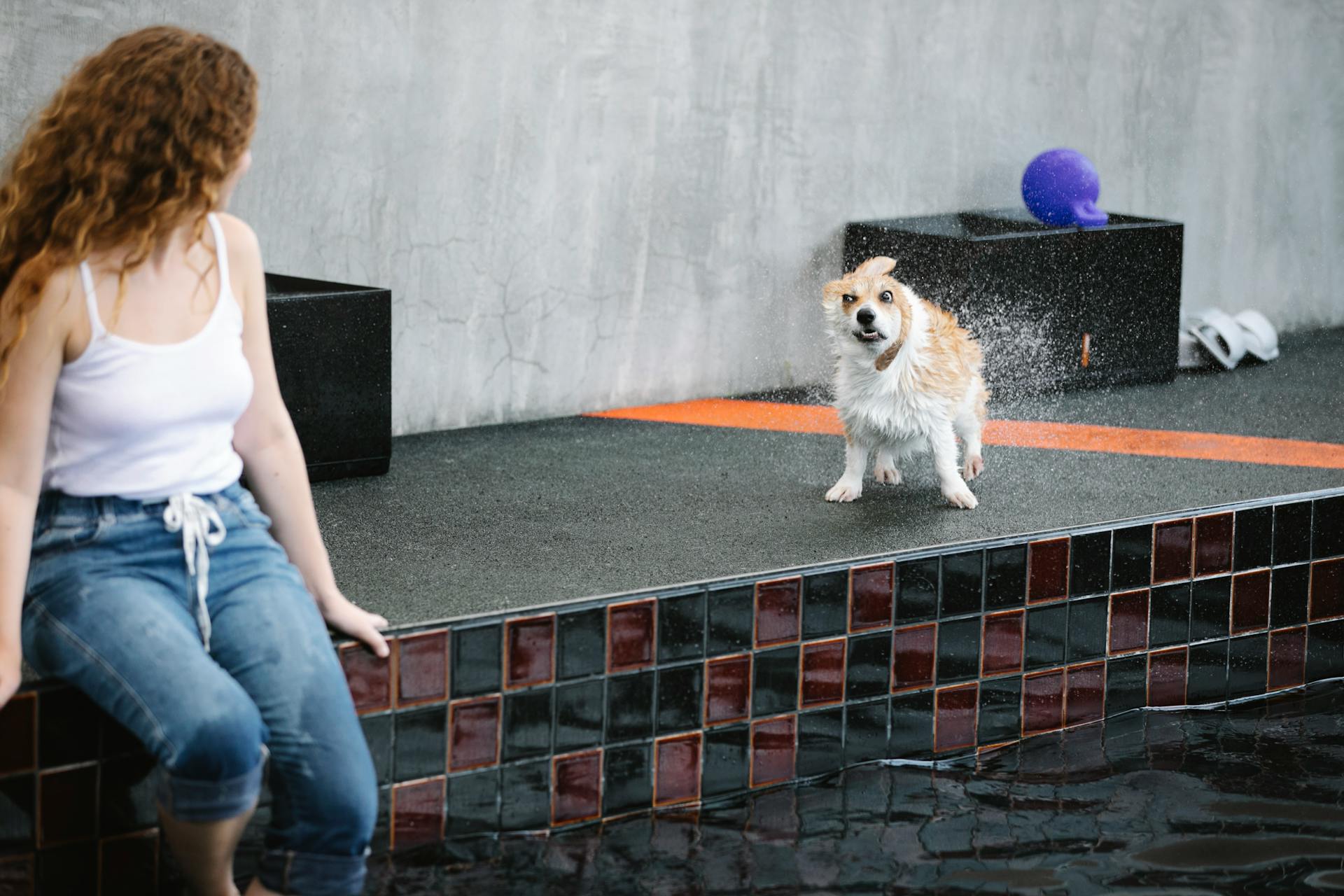 Unrecognizable woman against wet dog on poolside