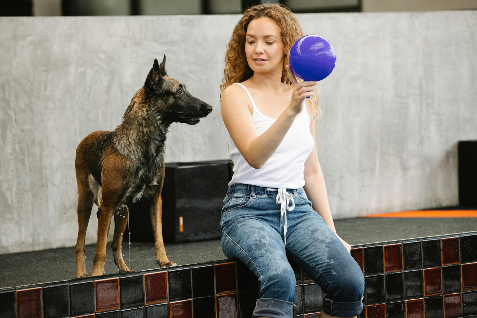 Woman with ball taming dog on poolside