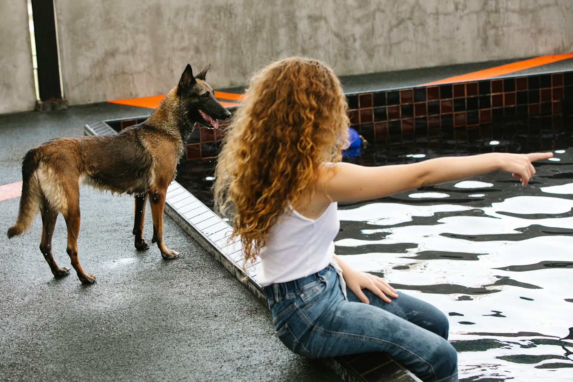 Side view of anonymous woman with curly hair pointing with finger at pool against attentive dog outdoors