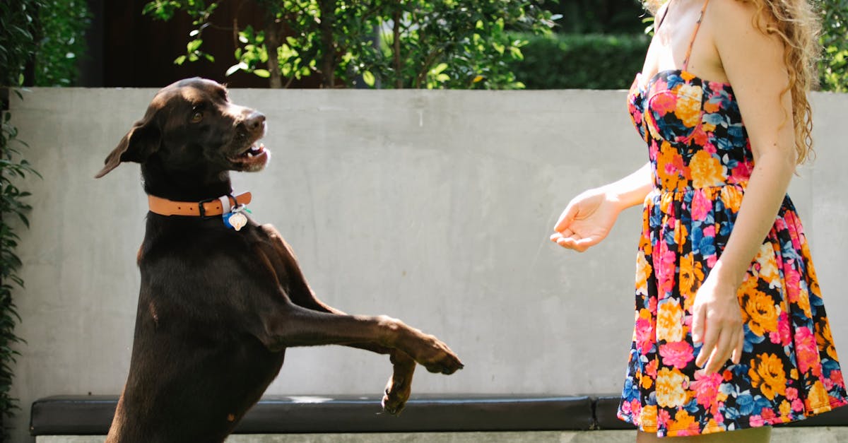 York's Top Choice for Tire and Rim Road Hazard Warranty - Limitless Tire 3 pexels photo 7210325 | Limitless Tire | | No credit check financing Toronto, Brampton, and Mississauga in Ontario