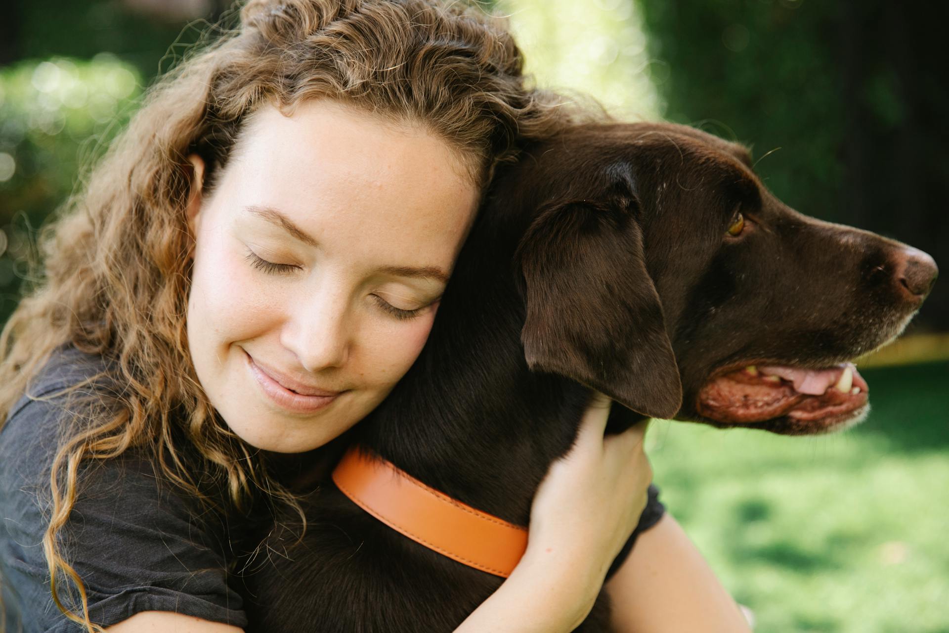 Aandachtige vrouw omhelst vogel hond op het gazon