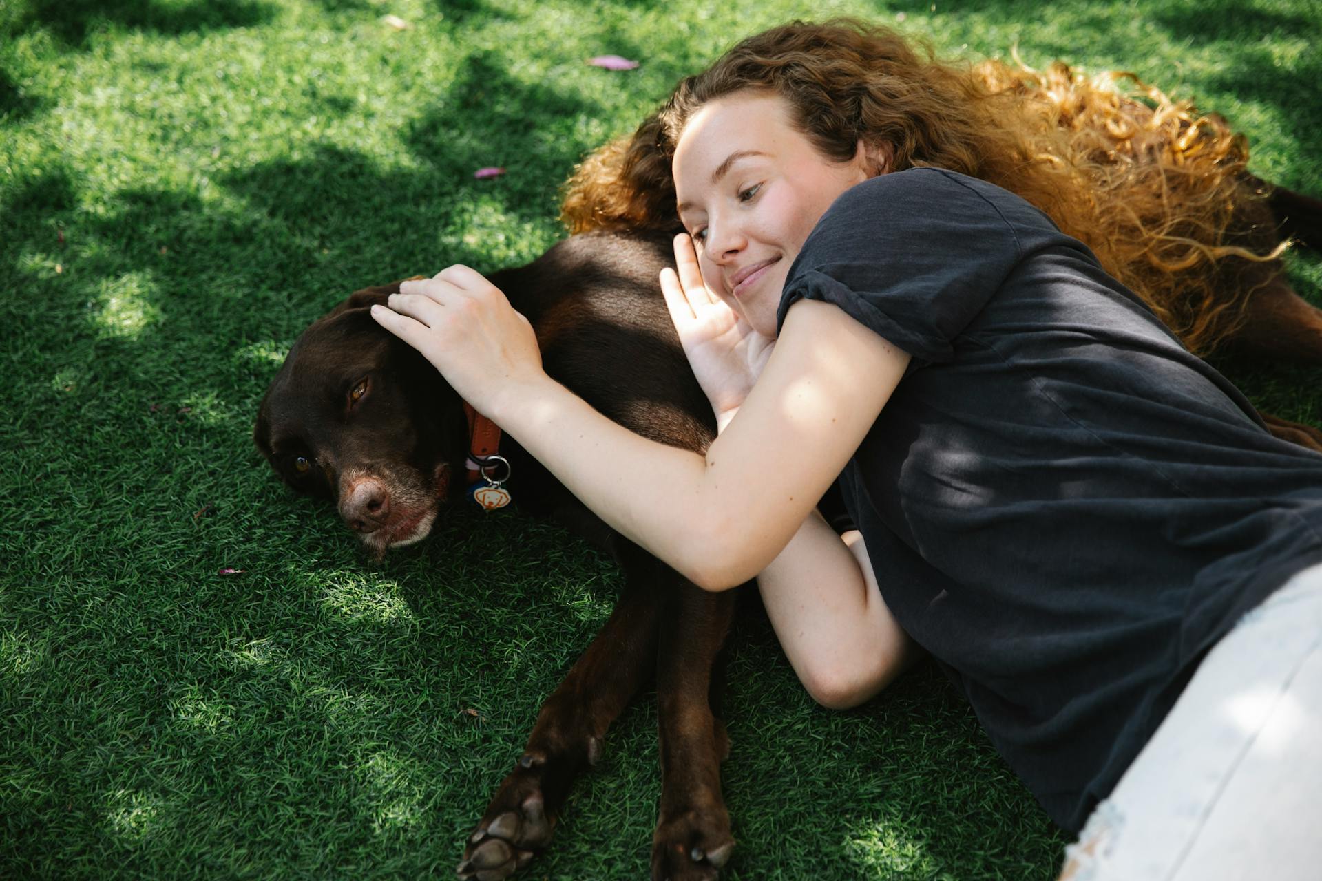 High angle side view of cheerful female stroking gun dog while lying on lawn in sunlight