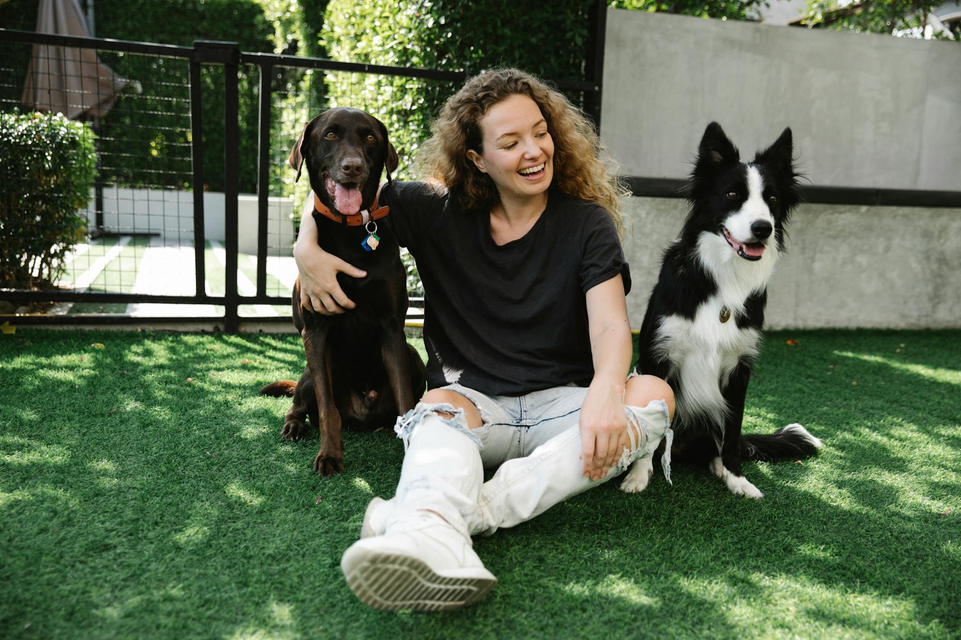 Cheerful female embracing gun dog in collar while looking at Border Collie on meadow in patio