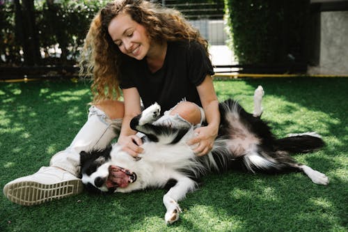 Cheerful adult female embracing and caressing fluffy purebred dog with open mouth while resting on meadow