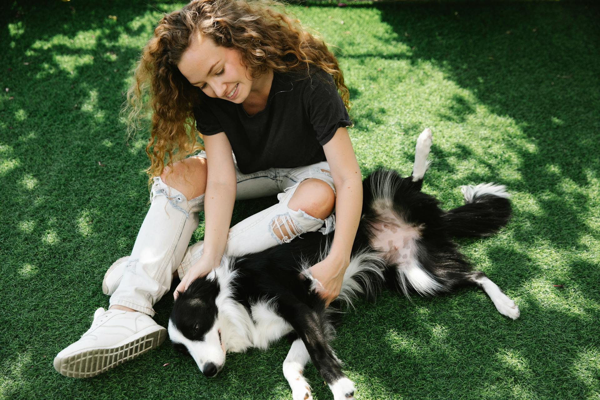 Sincere woman playing with Border Collie on meadow