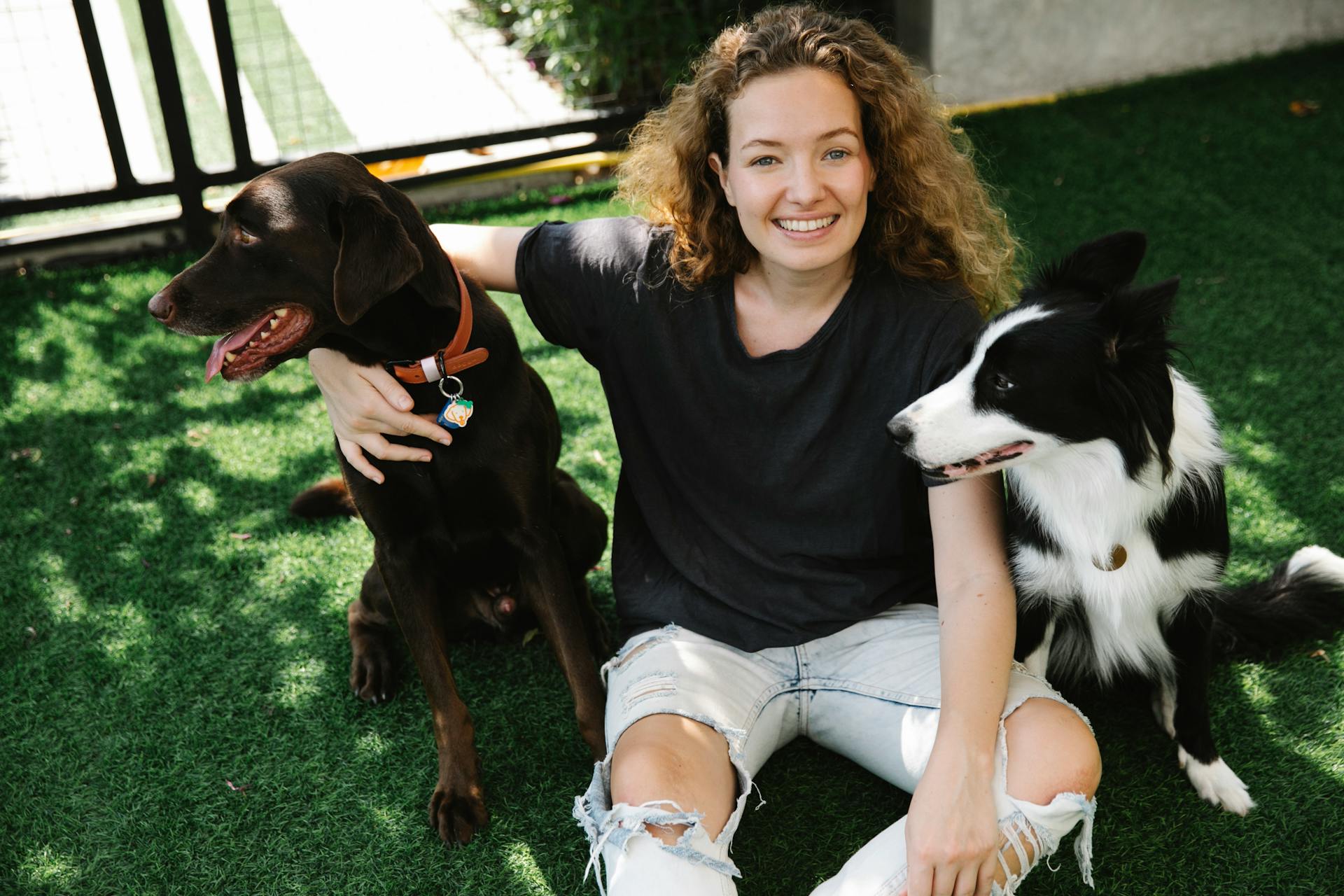 Smiling woman with Border Collie and pointing dog on lawn