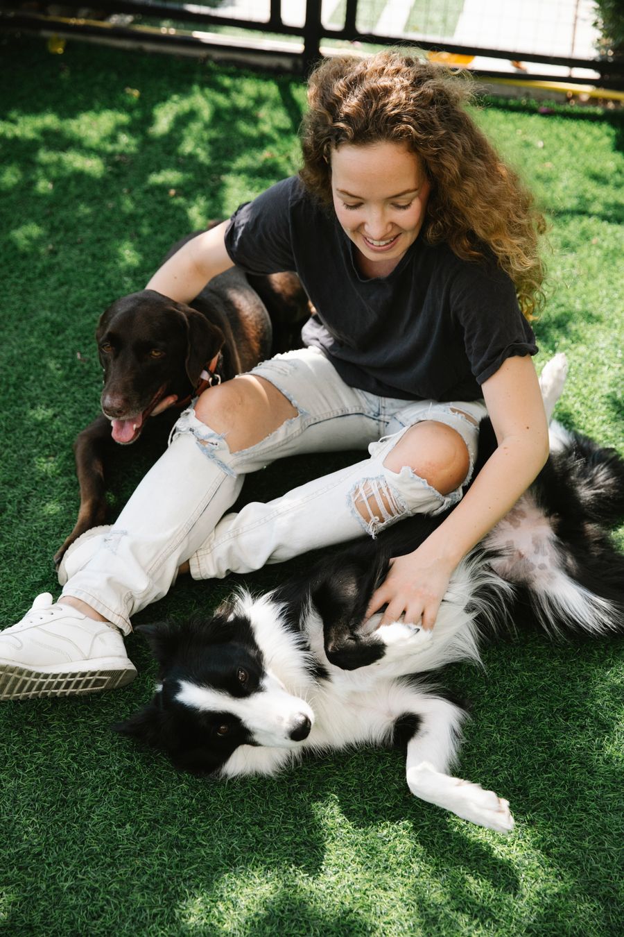 A walker crouching with an older collie on a lawn