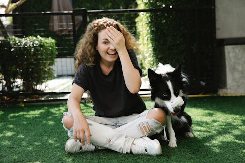 Free Content woman taming Border Collie on lawn Stock Photo