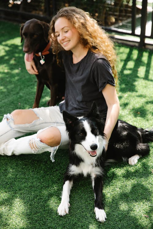 Content woman embracing Border Collie and hunting dog on lawn