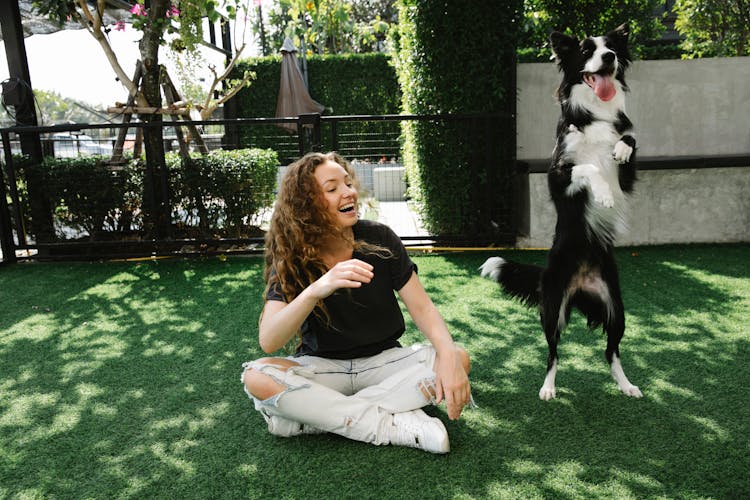 Cheerful Woman Taming Border Collie On Meadow In Summer