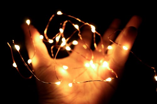 Free Person Holding String Lights Stock Photo
