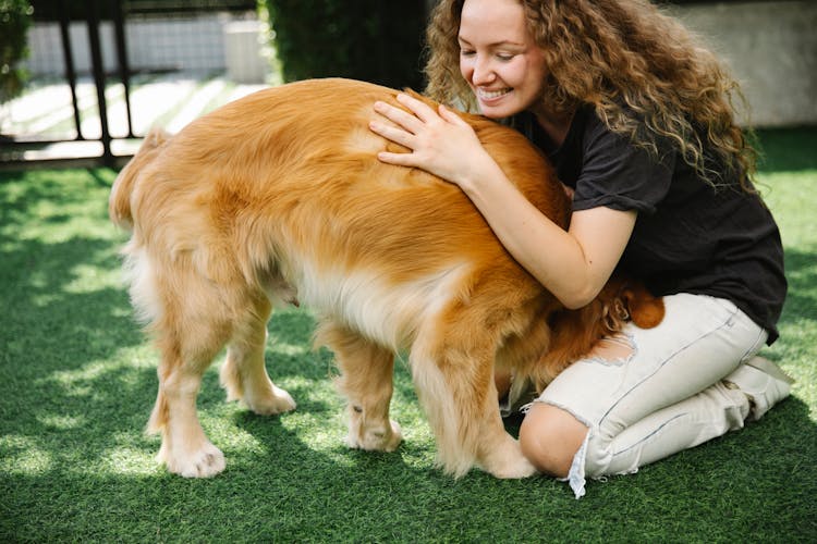 Cheerful Woman Playing With Fluffy Domestic Dog On Green Lawn