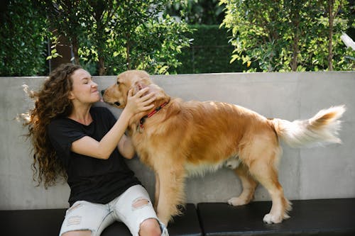 Smiling female with dog near fence and green plants