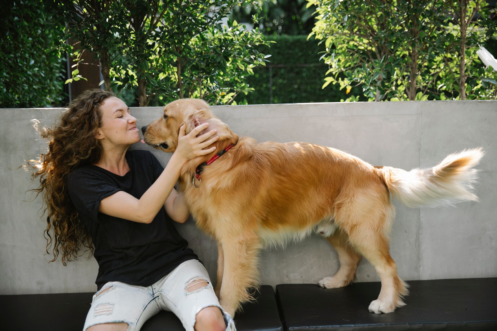 Smiling female with dog near fence and green plants