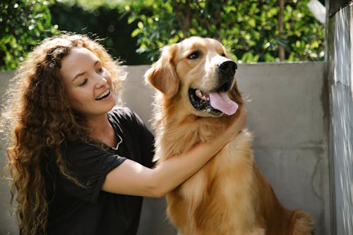 Positive adult lady in casual clothes petting fluffy Golden Retriever dog near stone fence and trees with green foliage in summer sunny day