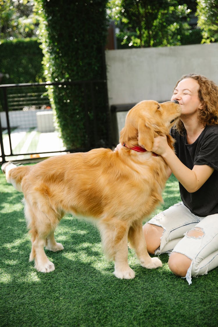 Woman With Dog On Grass In Park