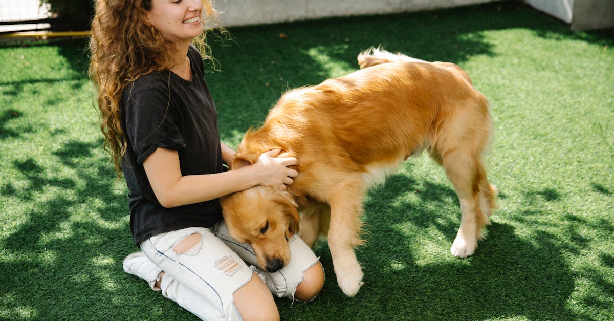 Cheerful young female with curly hair smiling and scratching neck of loyal Golden Retriever dog while kneeling on grass on sunny day in yard