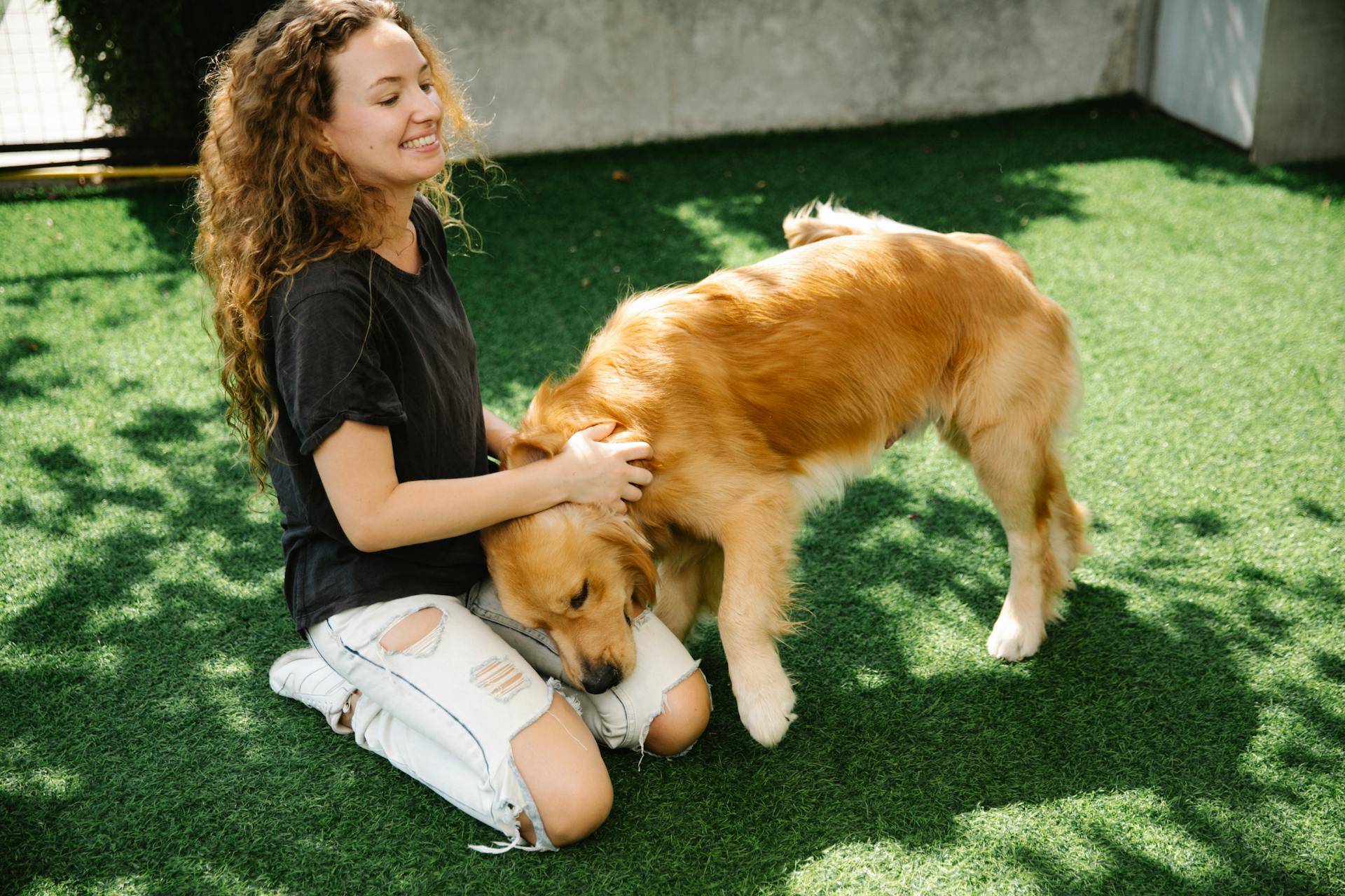 Een vrolijke jonge vrouw met krullend haar die glimlacht en de nek krabt van een trouwe golden retriever terwijl ze op een zonnige dag op het gras knielt.