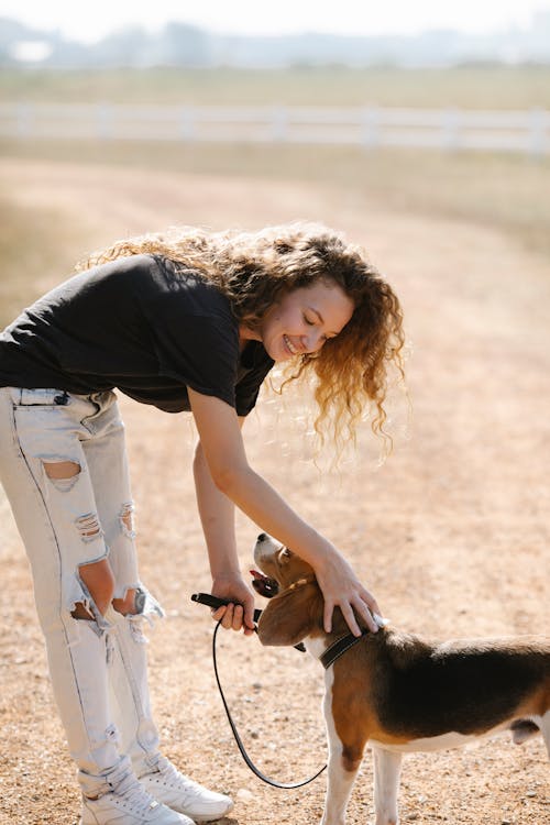Glad young female with curly hair bending forward and stroking obedient Beagle dog on leash while standing on countryside road on sunny summer day